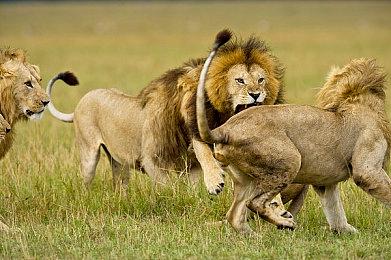 《神之亵渎2》预购预告 8月24日发售