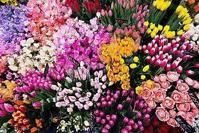 Fami通本周评分：《极限竞速：地平线5》大获好评白金殿堂